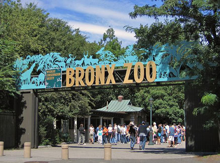 Know USA - 뉴욕 브롱스 동물원