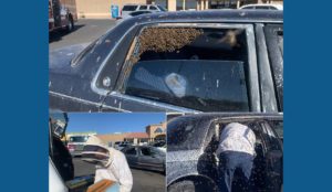 한 남성, 쇼핑 후 그의 차에 붙어 있는 15,000마리의 벌떼 발견