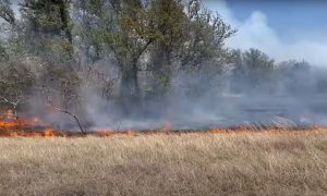 텍사스 주, 산불로 33,000에이커 이상의 면적 태워