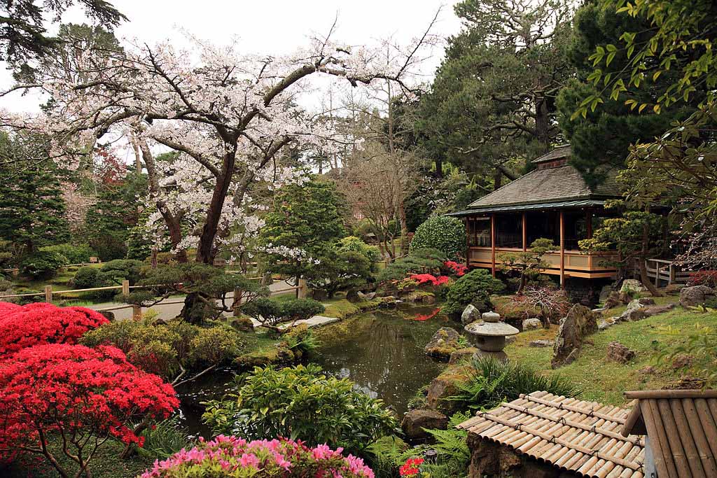 일본식 티 가든(Japanese Tea Garden)