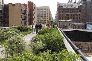하이 라인(The High Line)