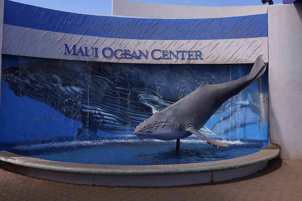 마우이 해양 센터(Maui Ocean Center)