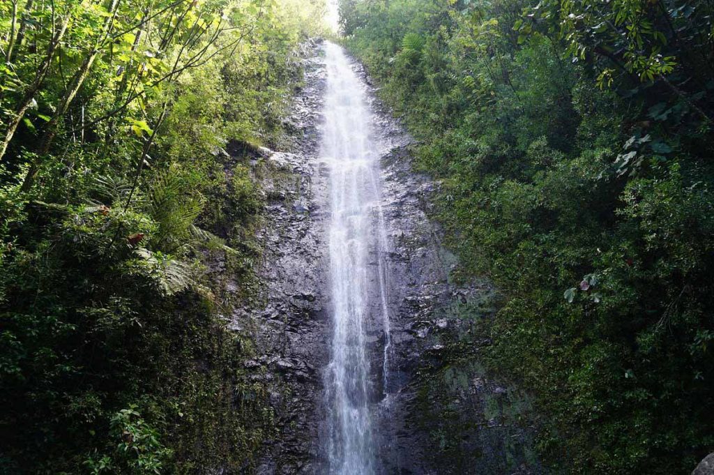 마노아 폭포(Manoa Falls)