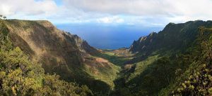 Kalalau Valley viewed from the NaPali Kona Forest Reserve Pihea Trail