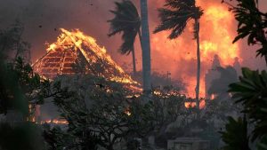 마우이 산불로 최소 36명 사망