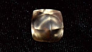 주립공원에서 2.95캐럿 다이아몬드 발견한 7세 소년