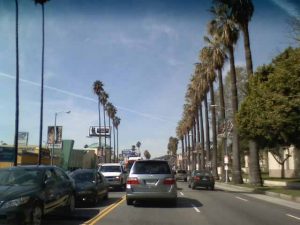 선셋 블루바드(Sunset Boulevard)