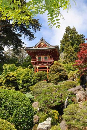 Japanese tea garden Golden Gate Park