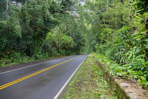 Section-of-highway-between-Nahiku-and-Waianapanapa-State-Park