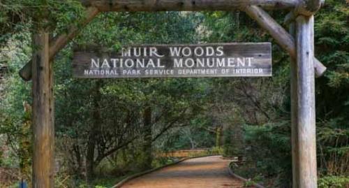 Muir Woods National Monument Marin County California