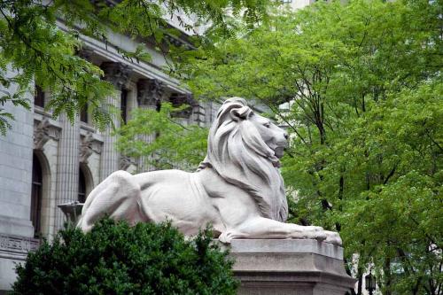 Lion sculpture New York Public Library