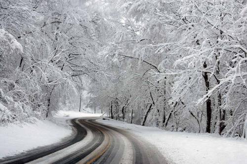 Snowing Road at Rock Creek Park