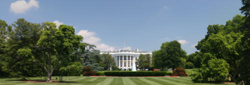 White House (1)