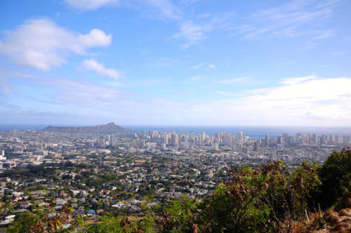 Honolulu From Round Top